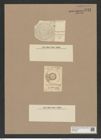 Coscinodiscus patellaeformis Grev. (de-Toni-Nr.: Genus 202, Species 5011) Zeichnungen Sammlung Grunow Nr. 8722 (NHMW-BOT-W0378297)